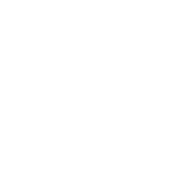 ce logo Pearland